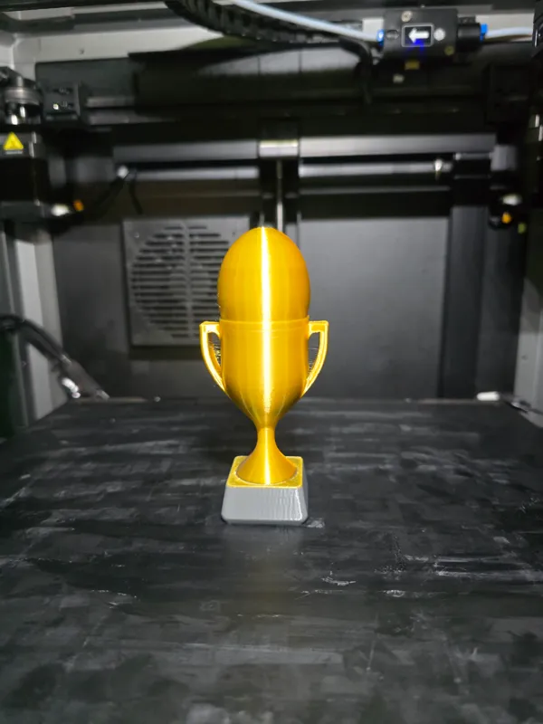 https://makerworld.bblmw.com/makerworld/model/DSM00000000242159/design/2024-03-10_0c767917595e3.jpg