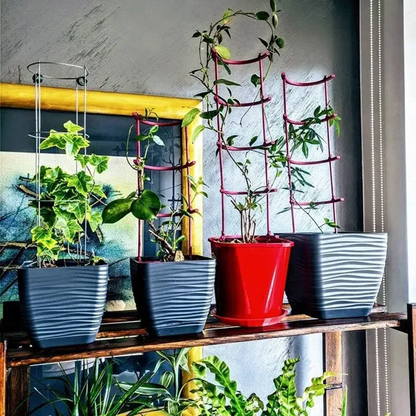 https://makerworld.bblmw.com/makerworld/model/DSM00000000243454/design/2024-03-10_7fe9751bfef7b.webp