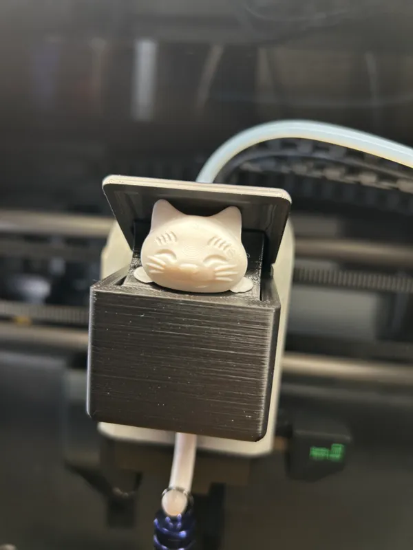 https://makerworld.bblmw.com/makerworld/model/DSM00000000244868/design/2024-03-10_f4005e7a513b6.jpeg