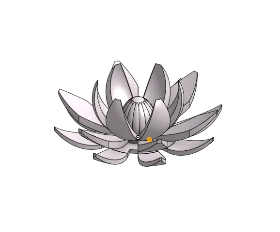 Lotus Flower