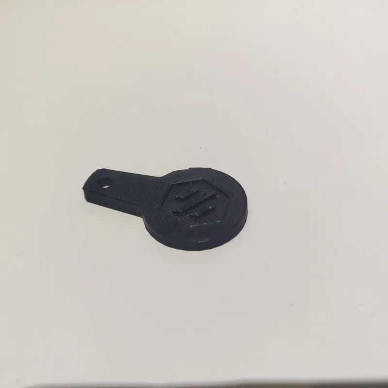 Voron Logo trolley coin