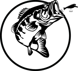 Bass