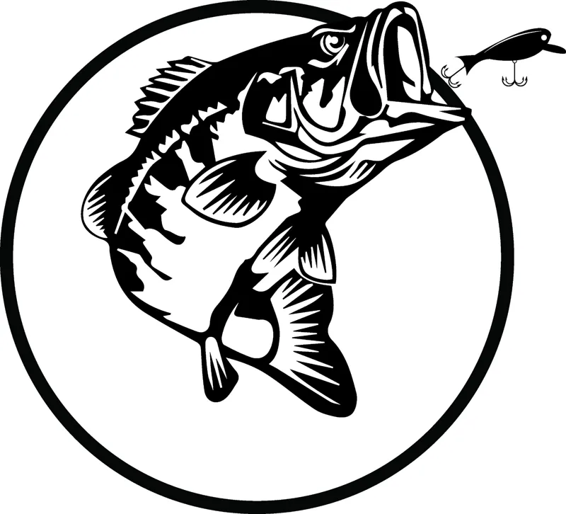Bass