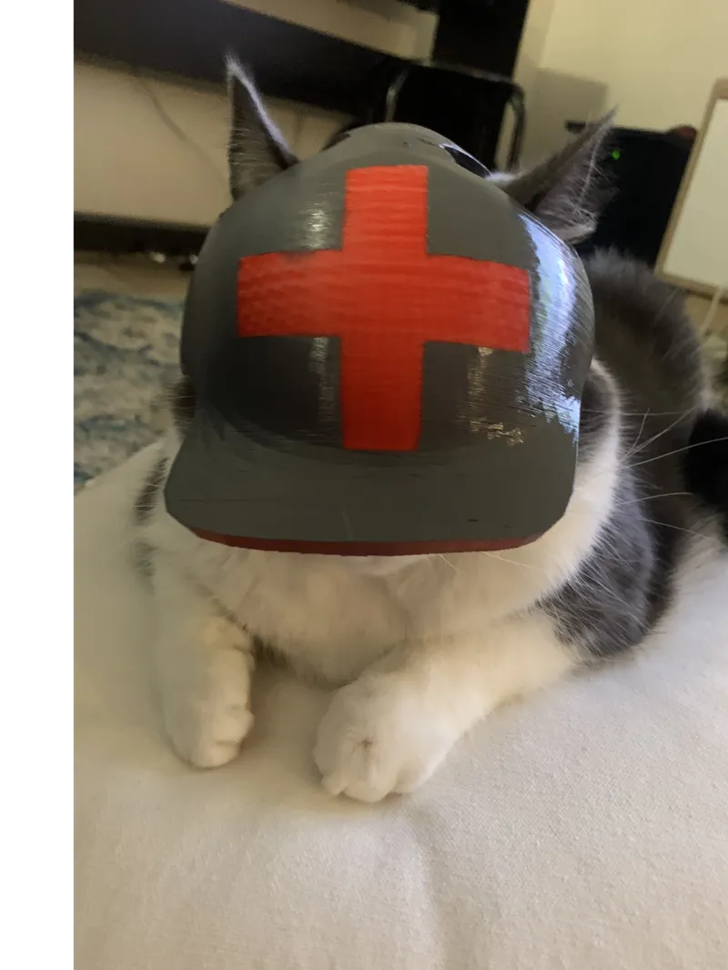 Cat war helmet