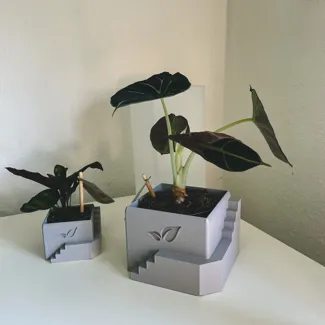 PLAnter 
