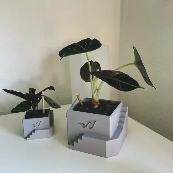 https://makerworld.bblmw.com/makerworld/model/DSM00000000246052/design/2024-03-11_6a87a6c20d50e.png