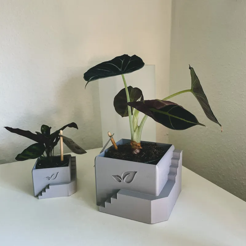 PLAnter 