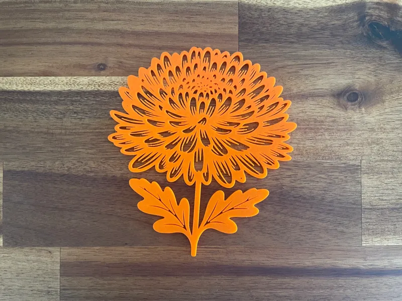 Chrysanthemum flower