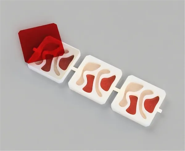 https://makerworld.bblmw.com/makerworld/model/DSM00000000247340/design/2024-03-12_48bdf17b6e25c.png