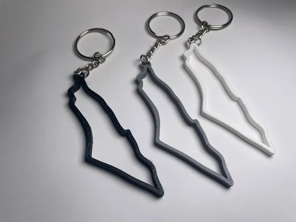 https://makerworld.bblmw.com/makerworld/model/DSM00000000248358/design/2024-03-11_5b05fdbfedbdf.webp