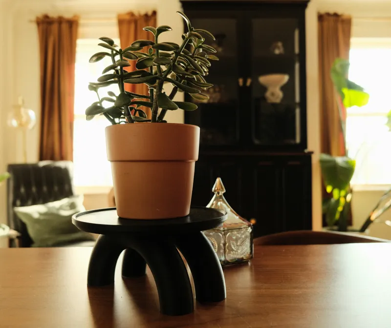 Double Footed Plant Riser