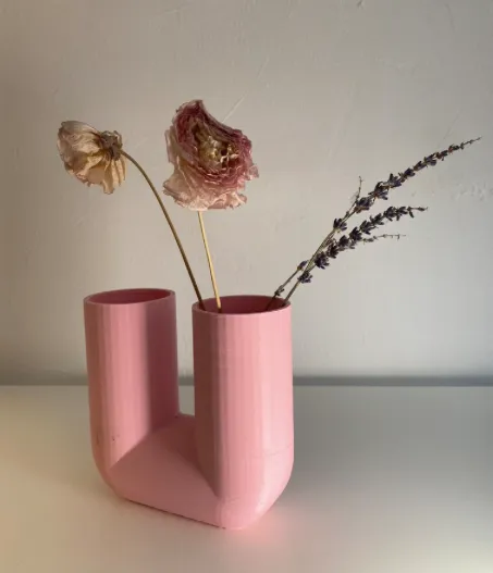 Vase Design Minimaliste