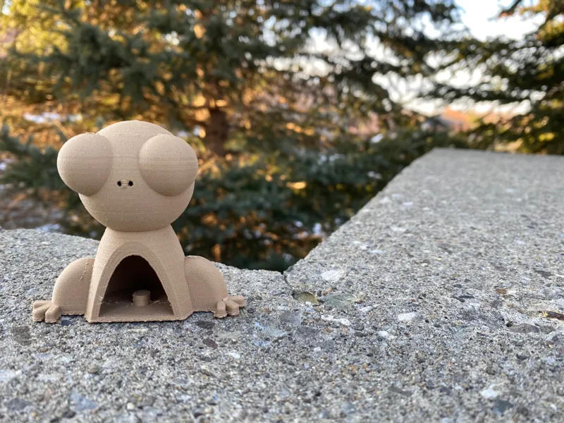 Frog Ring Holder