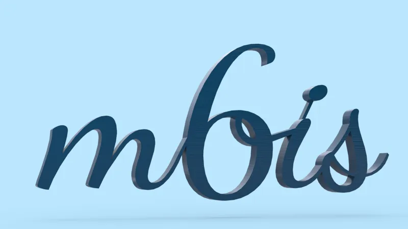 Ecriture 3D : 6 mois