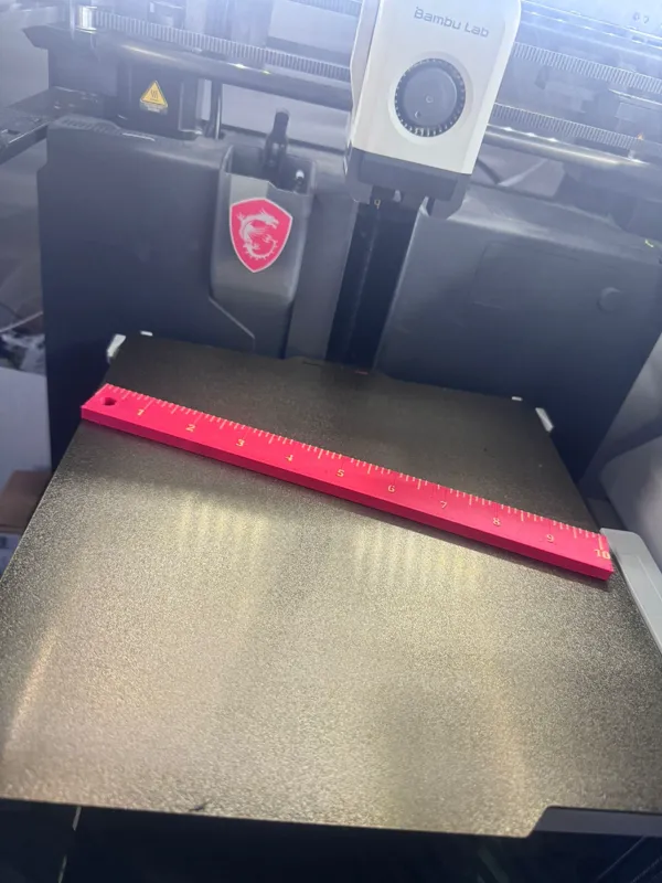 https://makerworld.bblmw.com/makerworld/model/DSM00000000251897/design/2024-03-13_324715daa794d.jpg