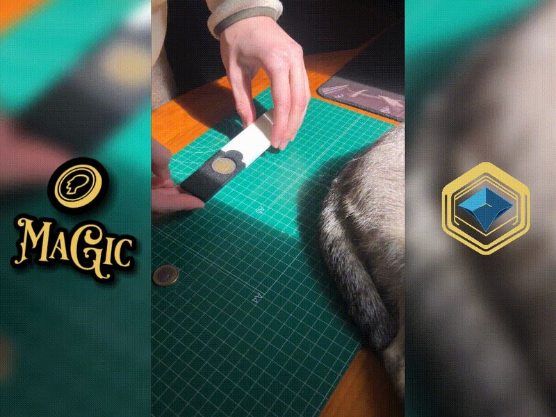 Magic Coin Box