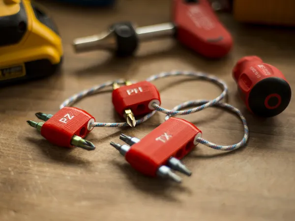 https://makerworld.bblmw.com/makerworld/model/DSM00000000252401/design/2024-03-14_21emdzl7n8sn.jpg