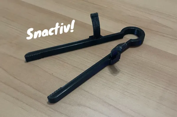 https://makerworld.bblmw.com/makerworld/model/DSM00000000252864/design/2024-03-13_5fb4cff43589b.png