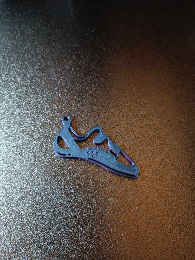 Climbind shoe