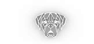 Boxer Geometrico