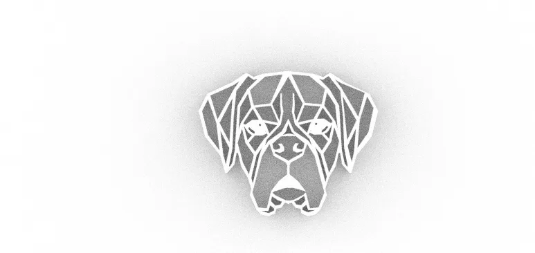 Boxer Geometrico