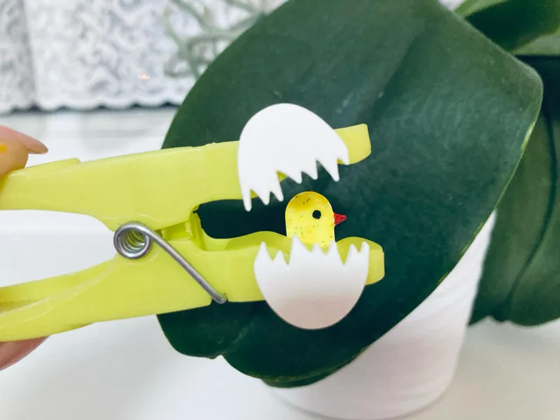 Easter egg on a peg