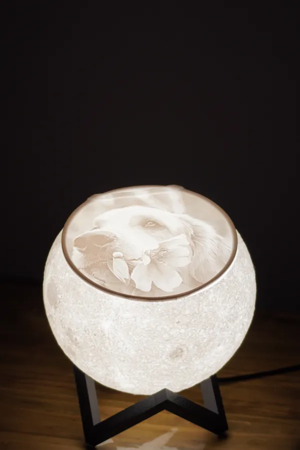 https://makerworld.bblmw.com/makerworld/model/DSM00000000254843/design/2024-03-14_485aeadd76d4b.jpg