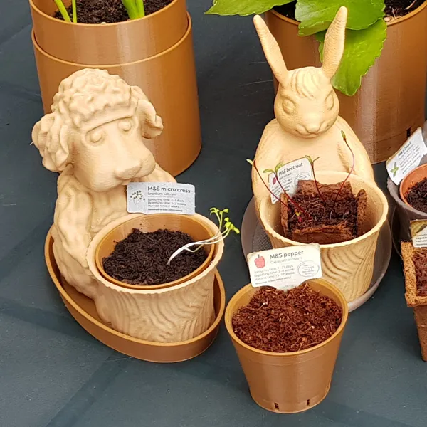 https://makerworld.bblmw.com/makerworld/model/DSM00000000371855/design/2024-03-15_1e1bb755420f2.jpg