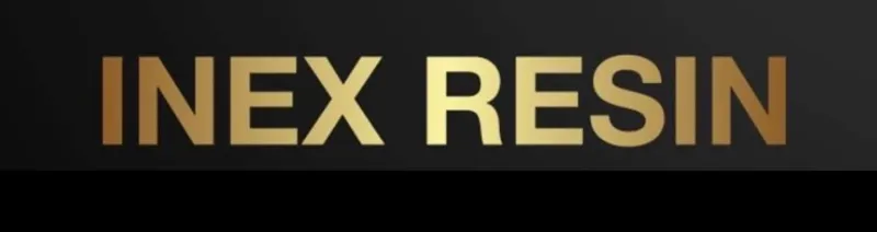 inex phone case