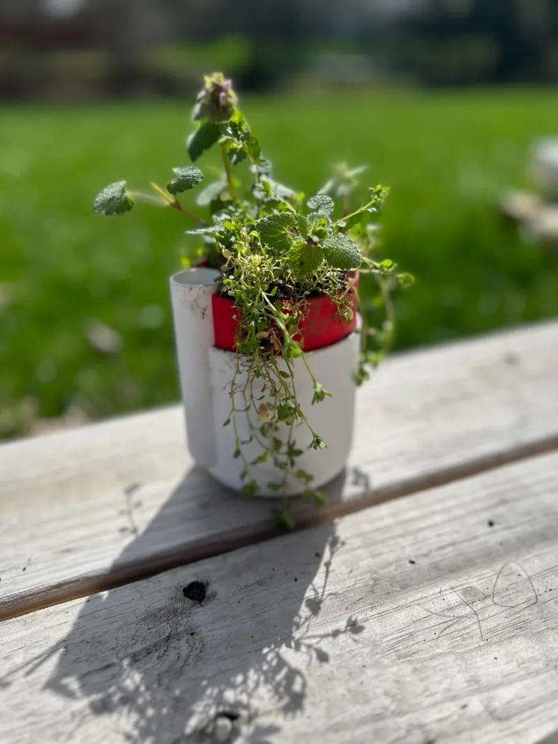 Hands Free Self-Watering Plant Pot