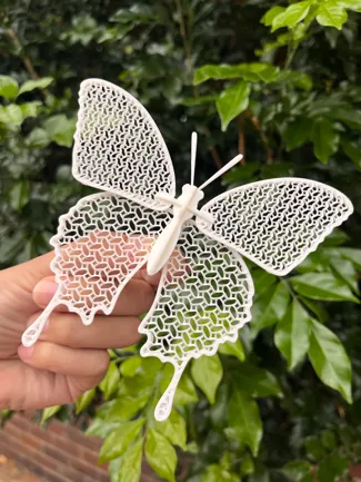 Butterfly Kit Card