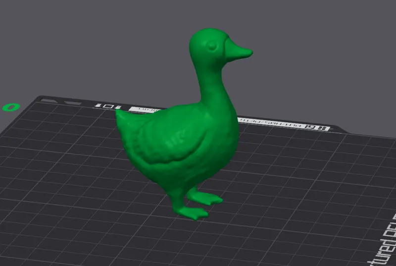 Goose Model