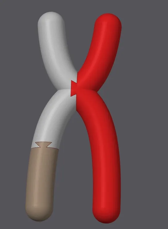 https://makerworld.bblmw.com/makerworld/model/DSM00000000376494/design/2024-03-17_41c8a49ba4b32.jpg