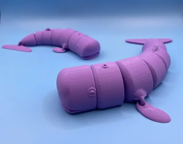 https://makerworld.bblmw.com/makerworld/model/DSM00000000376536/design/2024-03-17_b34982161ed96.webp