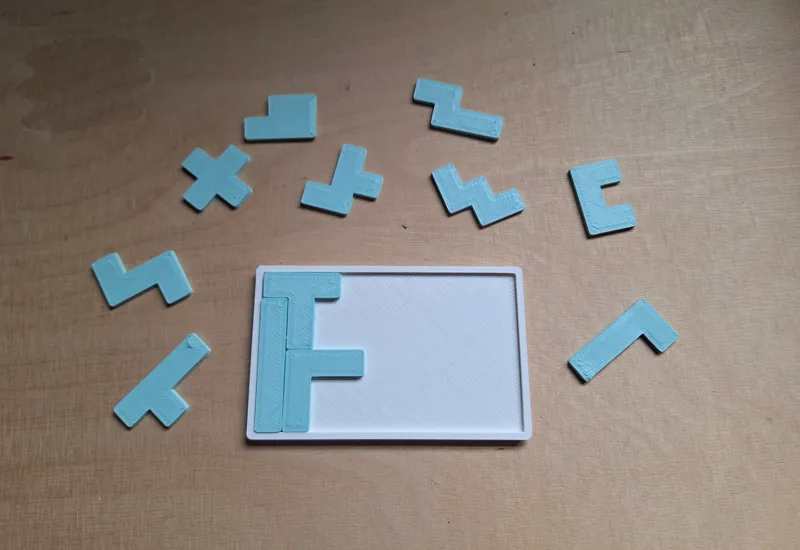 2D pentomino puzzle #1