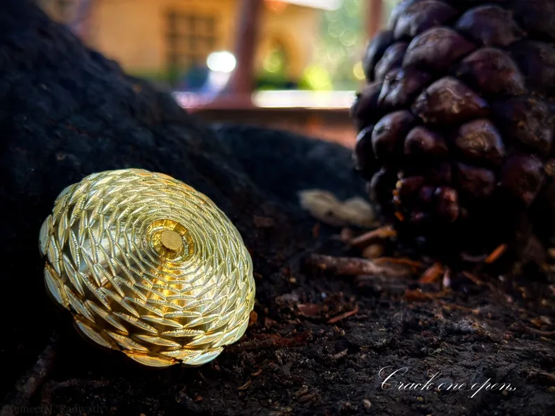 Acorn Bottle Opener 2.0 (Brass)