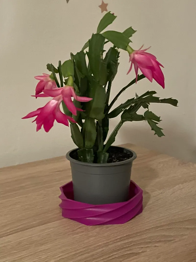 Bowl under the pot