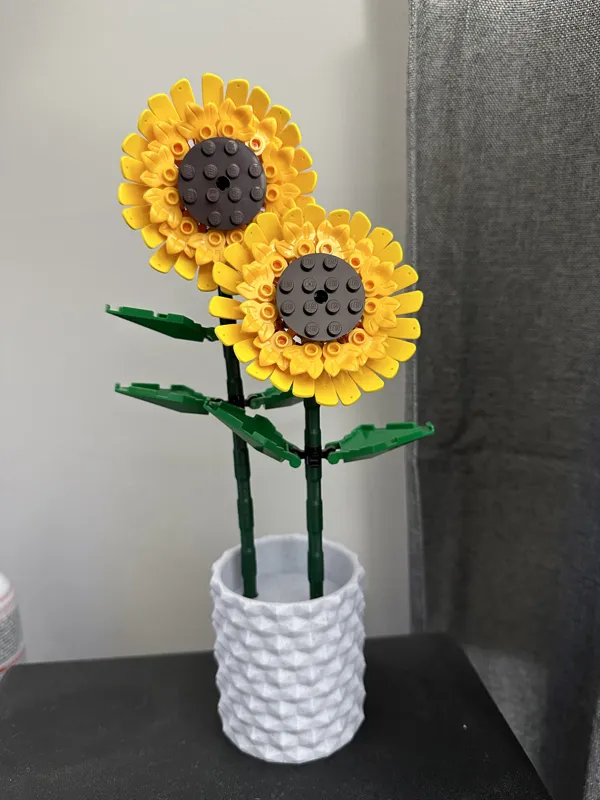 https://makerworld.bblmw.com/makerworld/model/DSM00000000380839/design/2024-03-19_6erc5s71l43e.jpeg