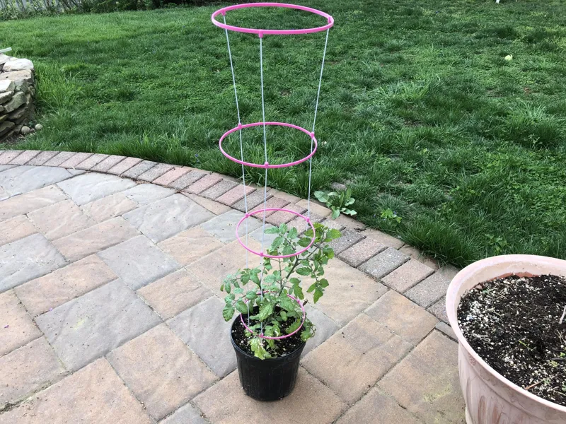 Garden Trellis Coat Hanger Cage