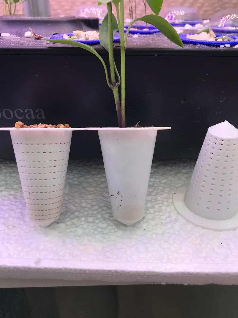 Hydroponic|Seed plant pot