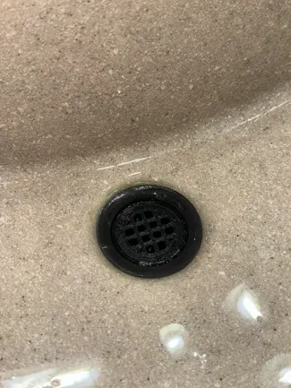 1.25 inch sink plug/filter