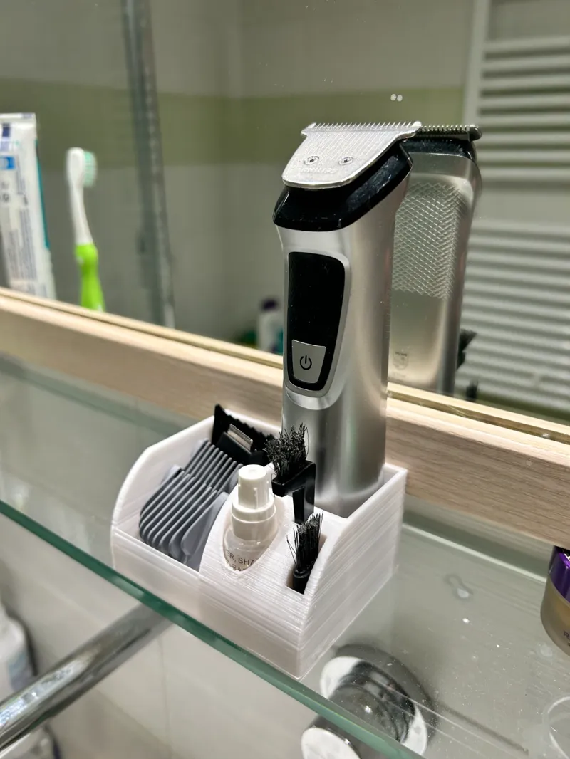 Bath shaver organizer