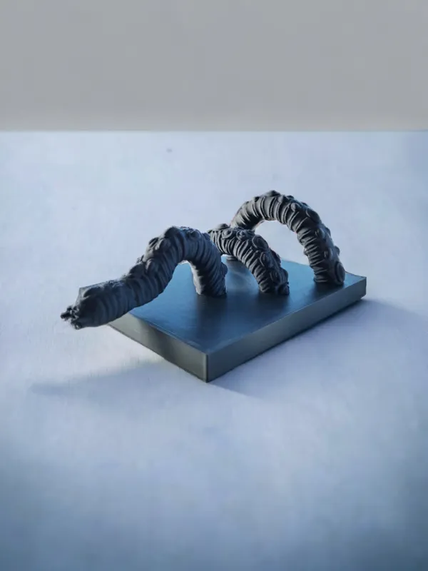 https://makerworld.bblmw.com/makerworld/model/DSM00000000387151/design/2024-03-21_5203c88069dd7.png