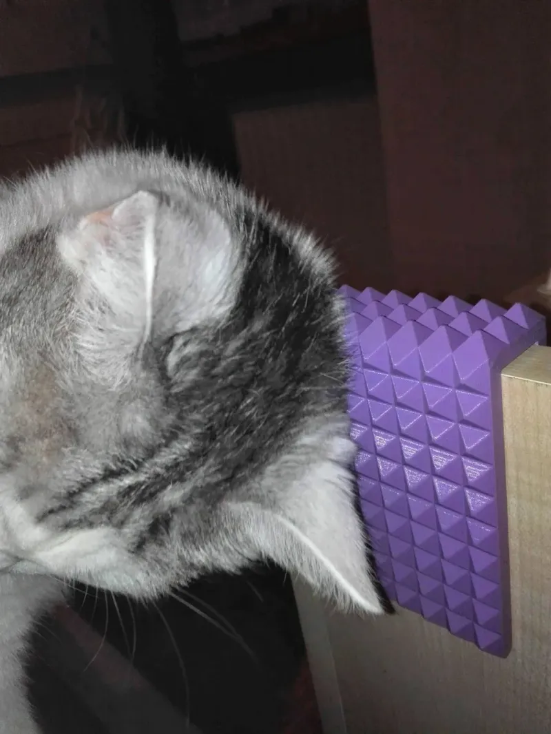 Cat scratcher