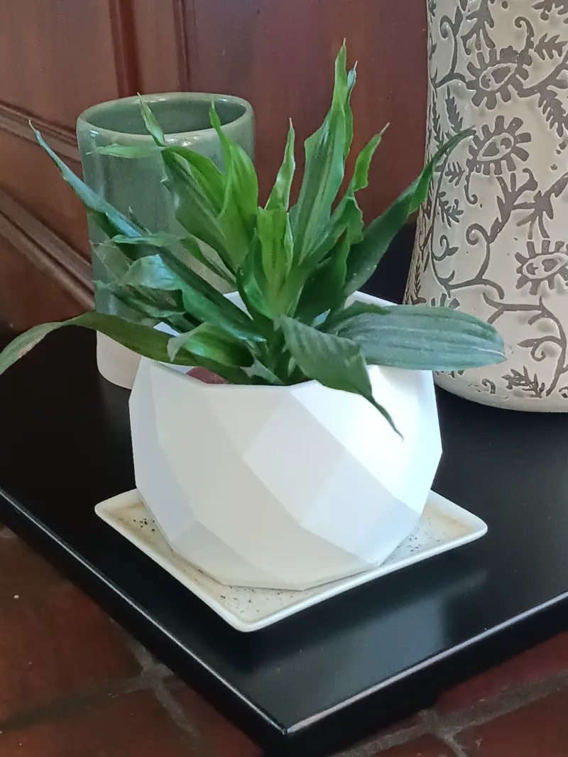 Faceted  Vase 