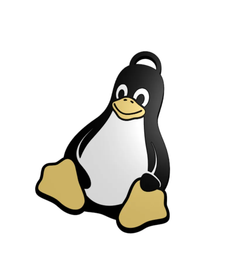 Tux multicolor keychain