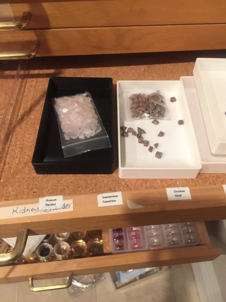 Bead Holder/Sorter