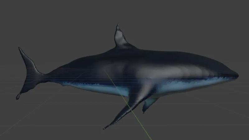 Shark