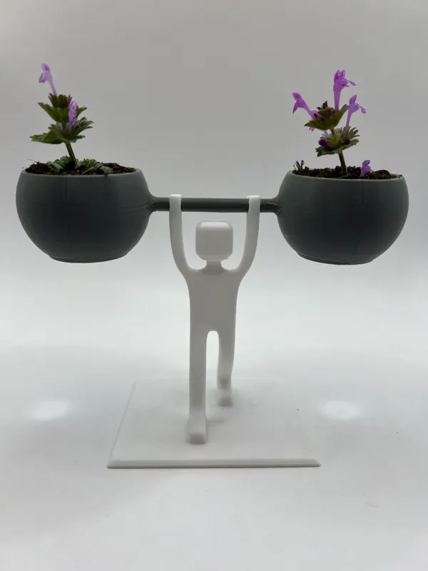 https://makerworld.bblmw.com/makerworld/model/DSM00000000391081/design/2024-03-23_7212f5d95644a.jpg