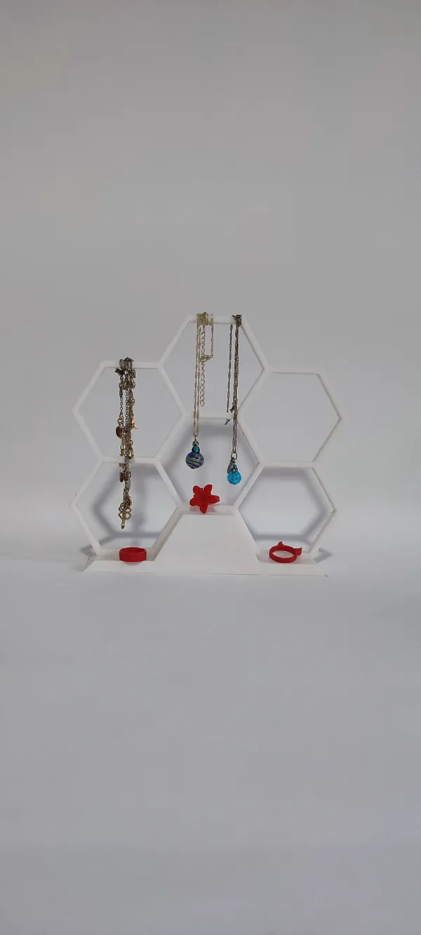https://makerworld.bblmw.com/makerworld/model/DSM00000000392445/design/2024-03-24_4e000f00eb861.jpg